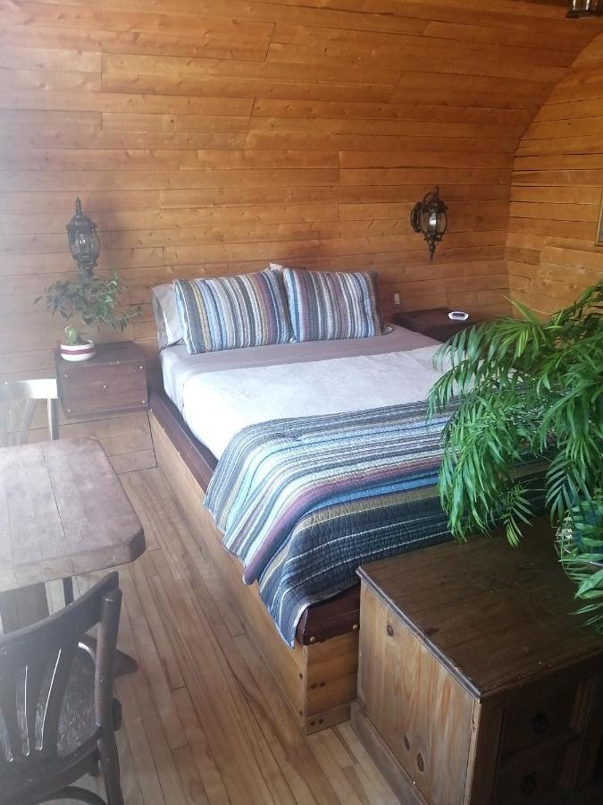 리바이스 L'Oasis Du Pirate B&B 외부 사진