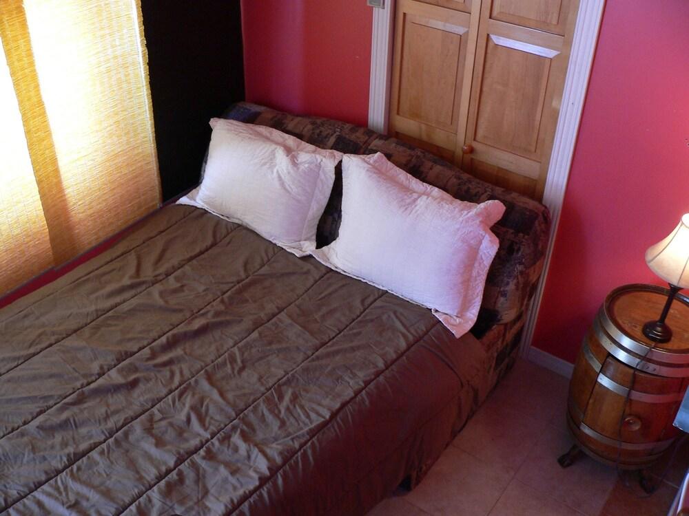 리바이스 L'Oasis Du Pirate B&B 외부 사진